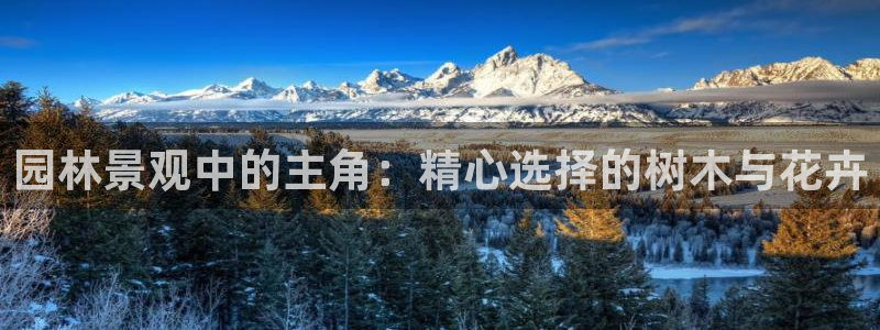 新宝gg龙虎规则