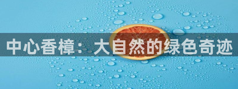 新宝gg什么