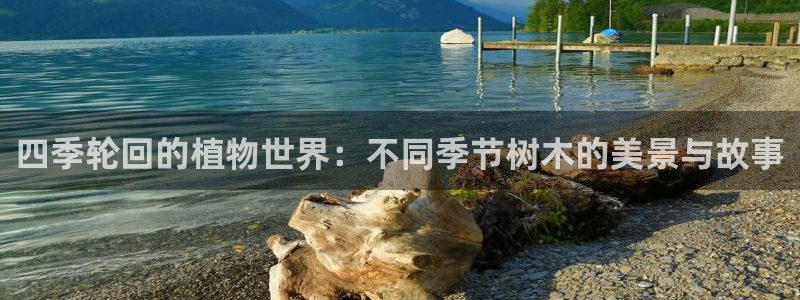 新宝gg 网址