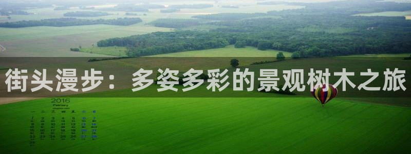 新宝gg 登陆