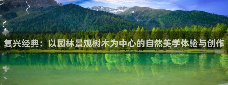 新宝Gg测速地址