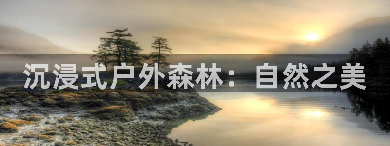 新宝gg平台开发