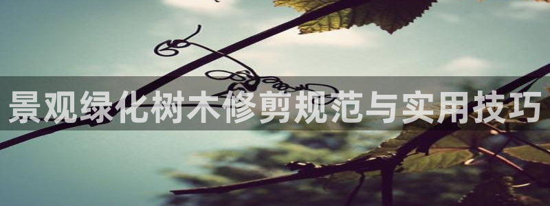 新宝gg走势