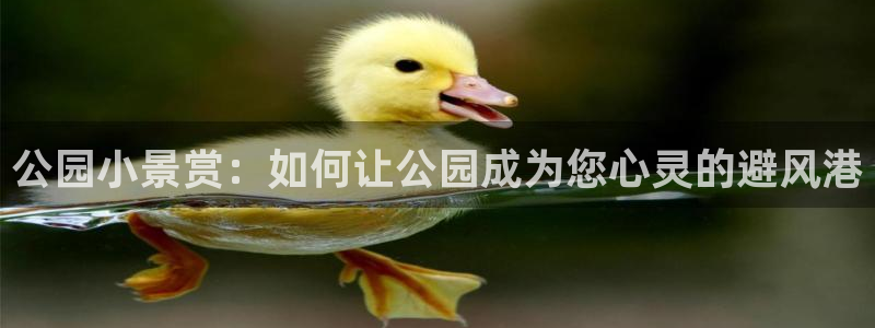 新宝gg创造奇迹