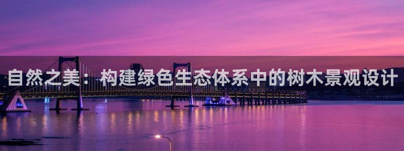 新宝6新宝gg