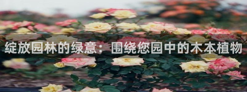 怎么代理新宝gg：绽放园林的绿意：围绕您园中的木本植物