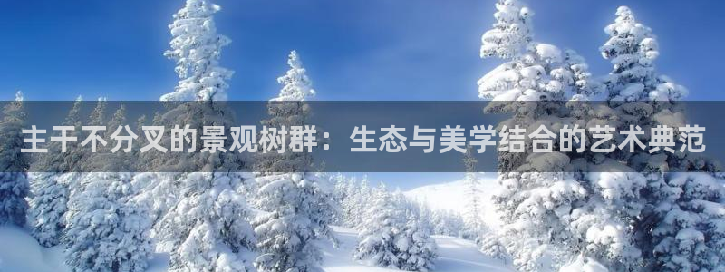 新宝gg首页平台