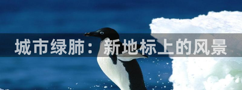 新宝gg指定平台