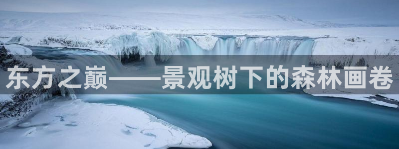 新宝gg ios下载：东方之巅——景观树下的森林画卷