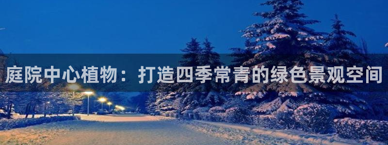 新宝gg娱乐怎么样：庭院中心植物：打造四季常青的绿色景观空间