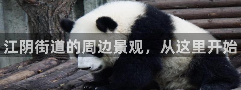 新宝gg招商致胜团队