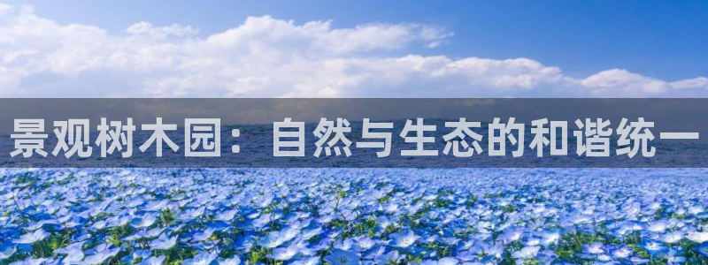 新浪新闻新宝gg