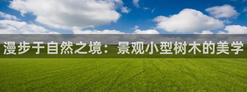 新宝gg图片