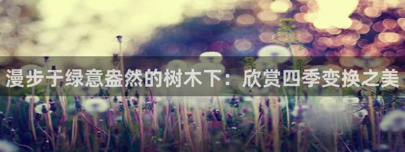 新宝gg创造奇迹平台