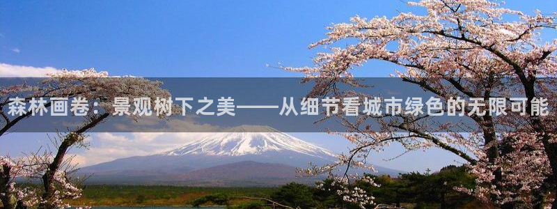 宝GG账78778新宝GG俪78778