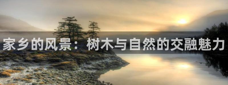 新宝gg返点模式