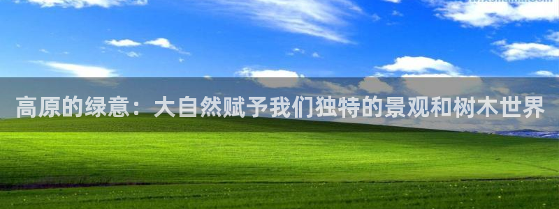 新宝GG娱乐-上皇巢网