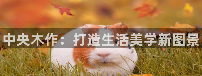 新宝gg-创业奇迹