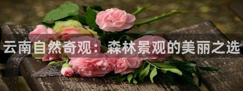 新宝gg娱乐-上鼎狐网