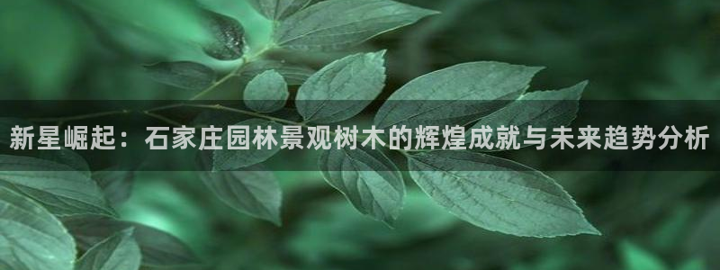 新宝创造Gg