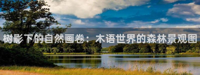 新宝_GG奇迹