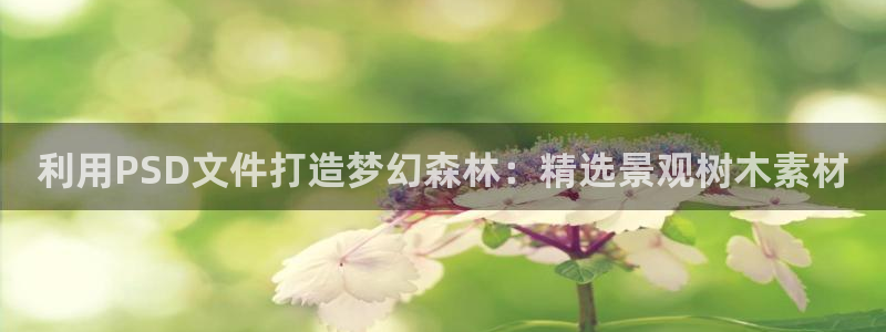 新宝gg   创造