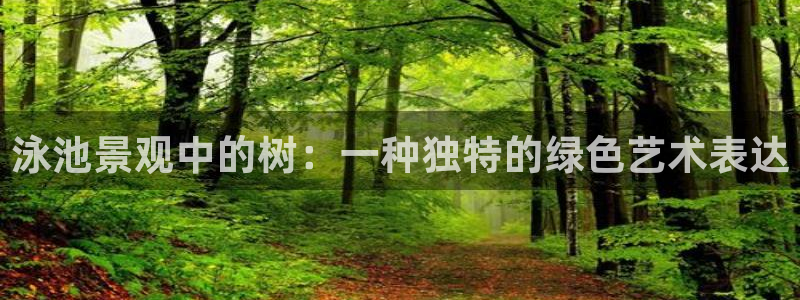 新宝gg黑平台