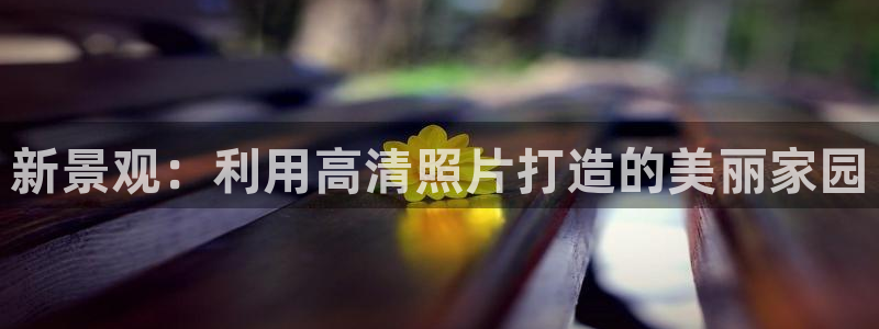 新宝gg总代理