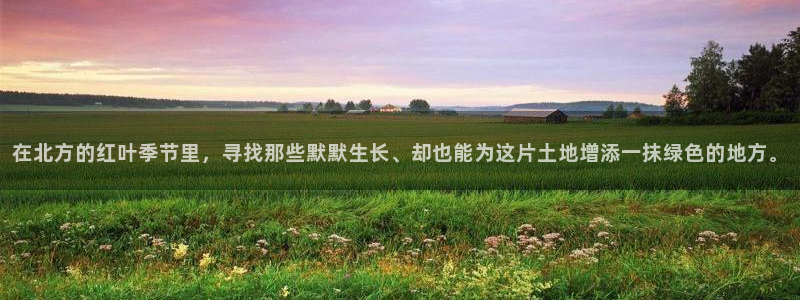新宝皇冠gg