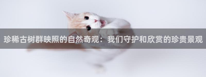 新宝gg如何注册：珍稀古树群映照的自然奇观：我们守护和欣赏的珍贵景观