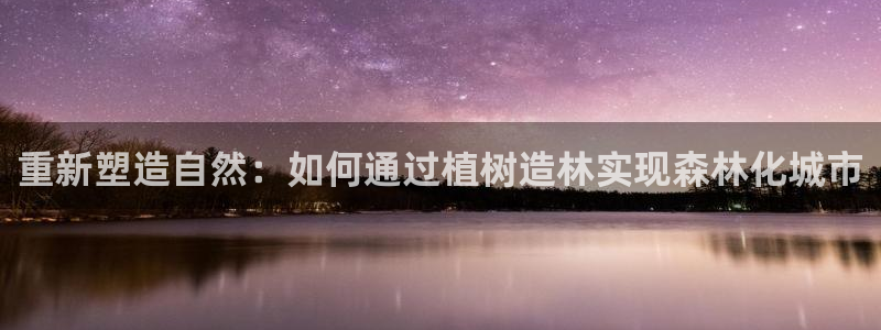 新宝gg系列