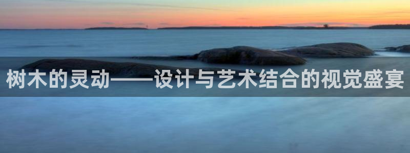 新宝GG53339咨询新宝GG