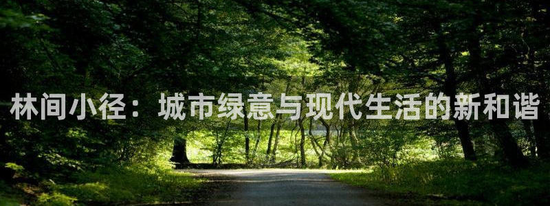 手机新宝gg