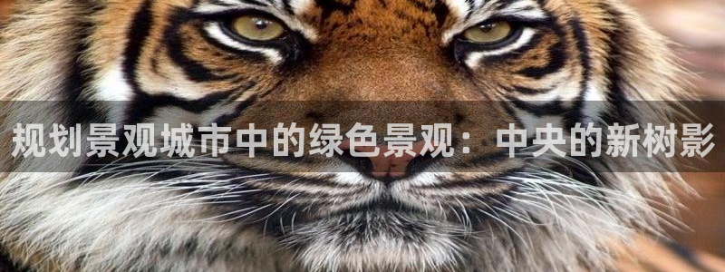 新宝gg直属上级