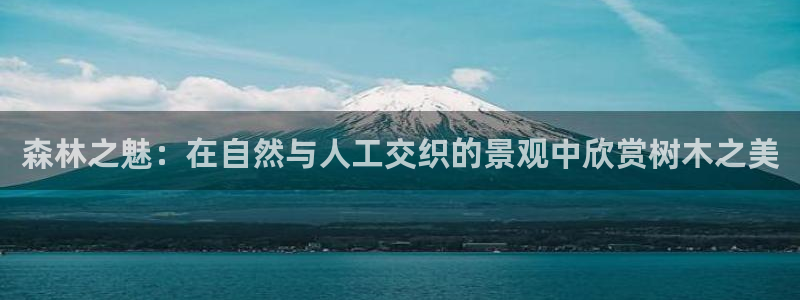 新宝gg指定平台