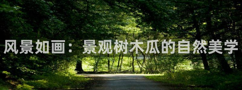 新宝gg最新章节