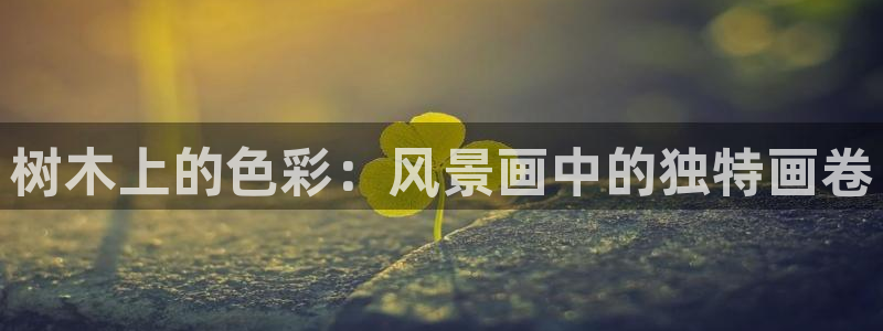 新宝gg平台反水：树木上的色彩：风景画中的独特画卷