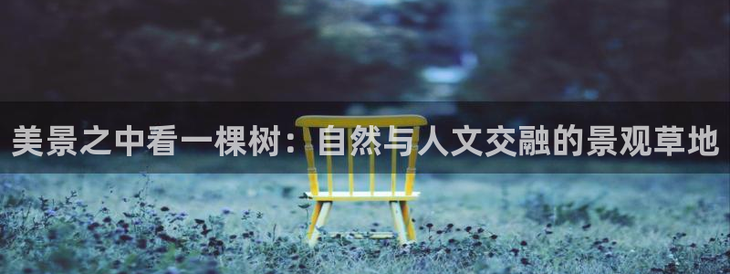 新宝gg创