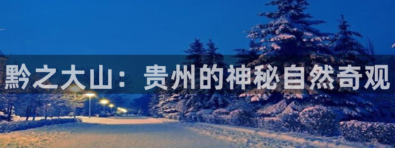 新宝 gg平台