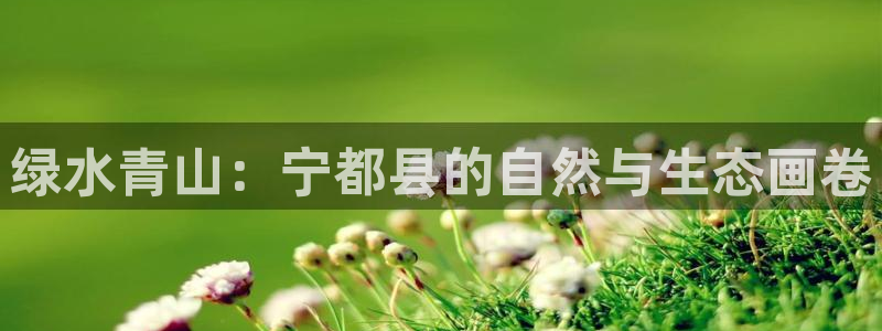 新宝 gg .com