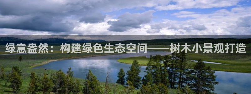 新宝gg平台反水