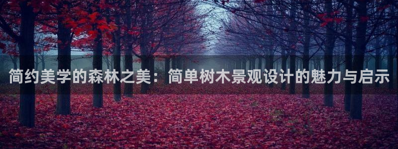 新宝gg找回账号