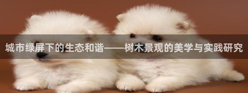 新宝gg官方主管