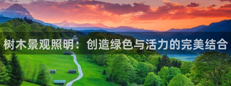 新宝gg挂机软件下载