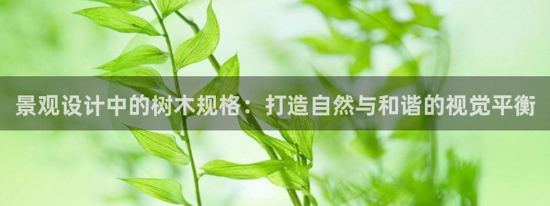 新宝gg奇迹：景观设计中的树木规格：打造自然与和谐的视觉平衡