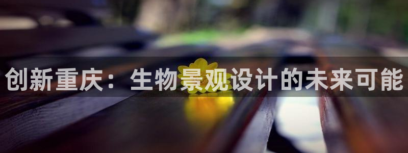 新宝gg老板