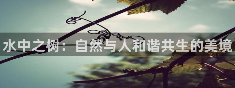 旧版新宝GG