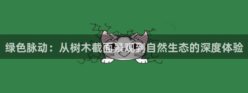 新宝gg辅助