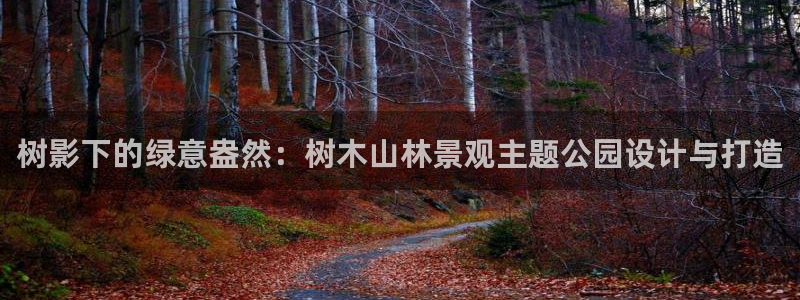 新宝gg一创造奇迹