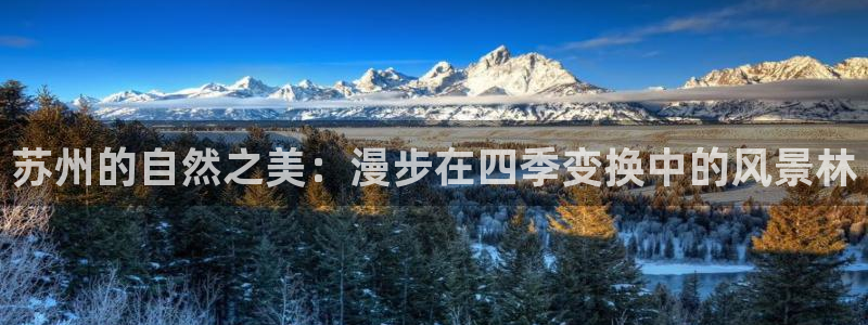 新宝gg总代理